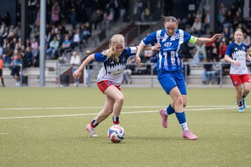 Bild 189 - wBJ Hamburger SV - FC Suederelbe : Ergebnis: 9:0